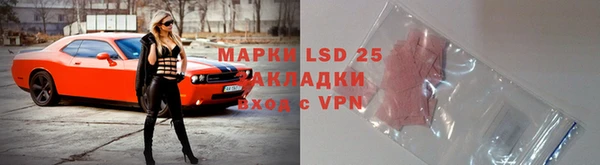 apvp Алексин
