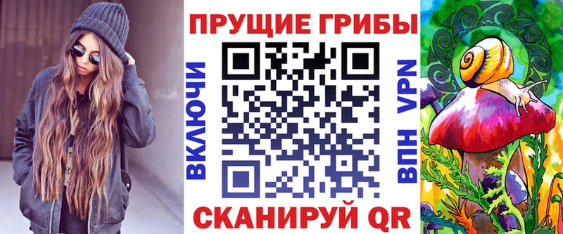 где купить   Ставрополь  площадка состав  Псилоцибиновые грибы ЛСД  mega  